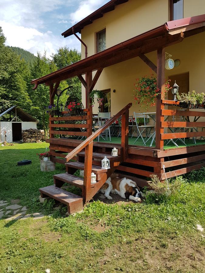 Vila Carmen Cazaci Exteriér fotografie
